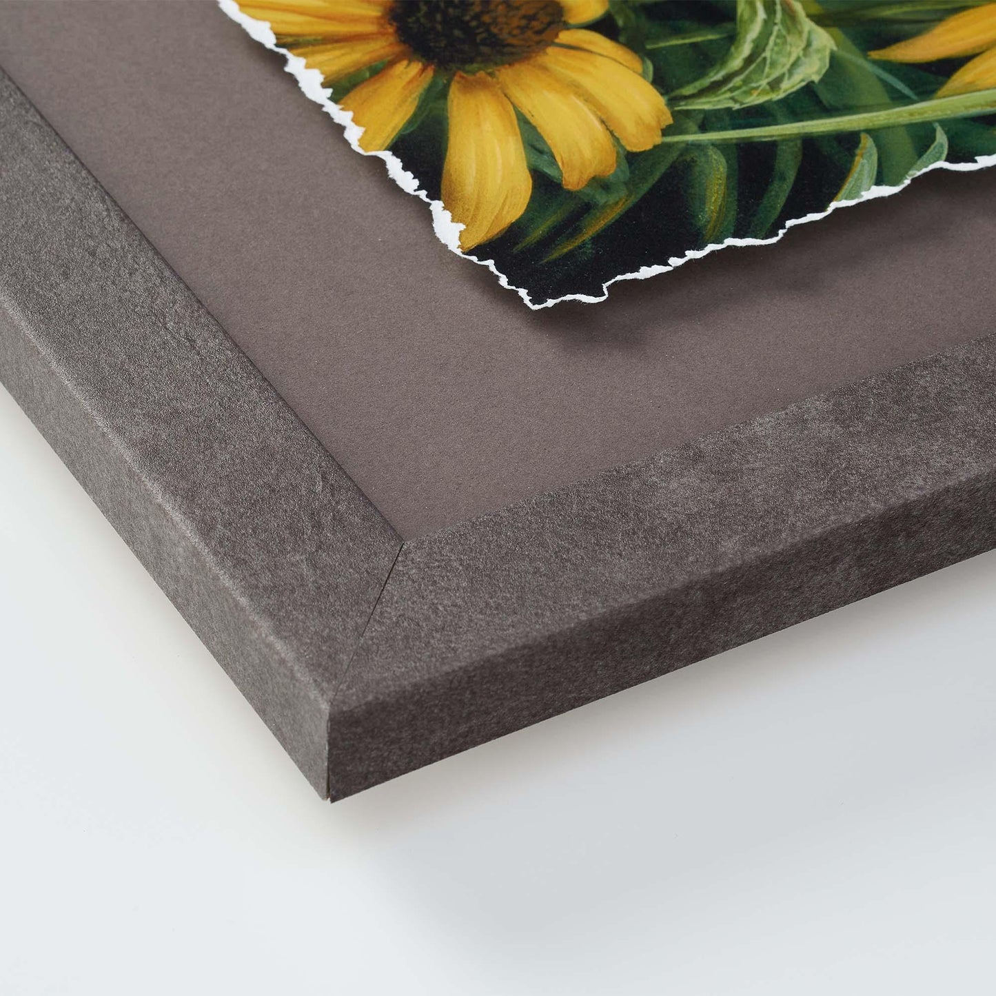 A Forest Pool—Wood Ducks Deckled Edge Paper Print - Wild Wings