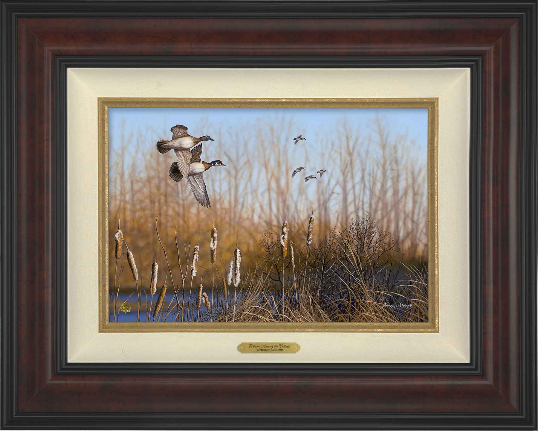 Return Among the Cattails - Wood Ducks; Standard Numbered Edition