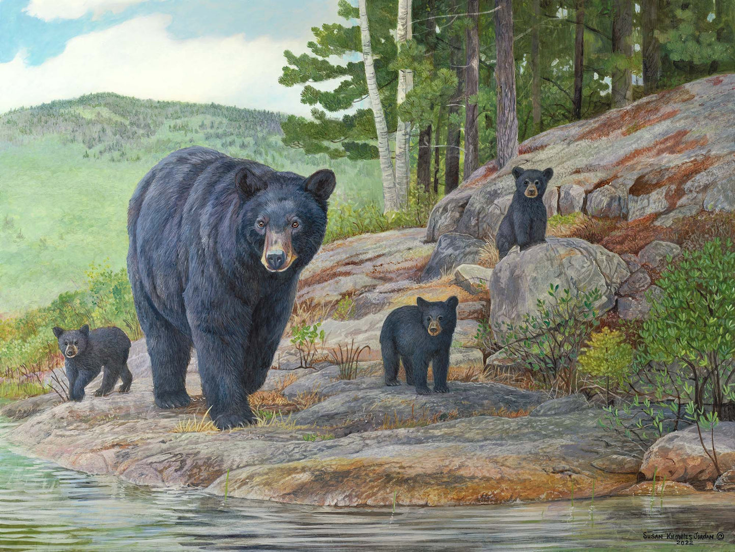 Hard Rock Cafe - Black Bear