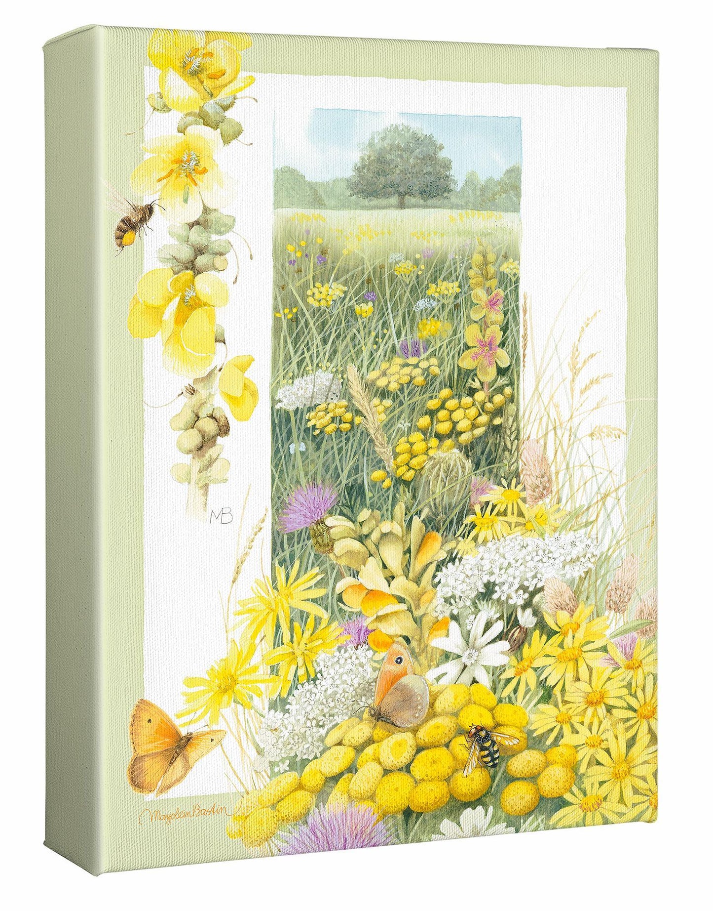 A Healthy Meadow Gallery Wrapped Canvas - Wild Wings