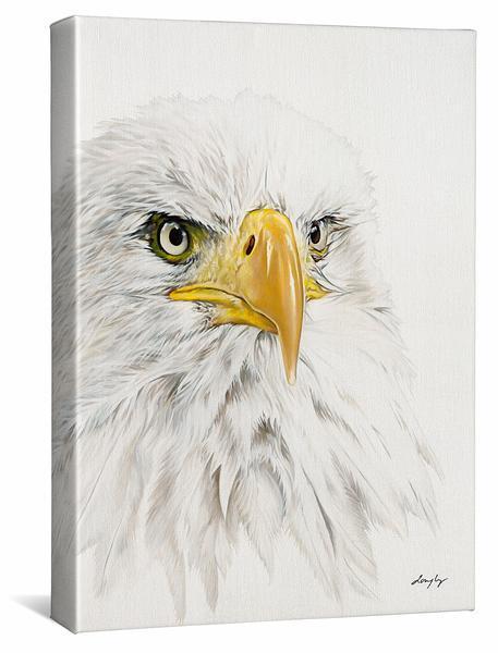 Bald Eagle Gallery Wrapped Canvas - Wild Wings