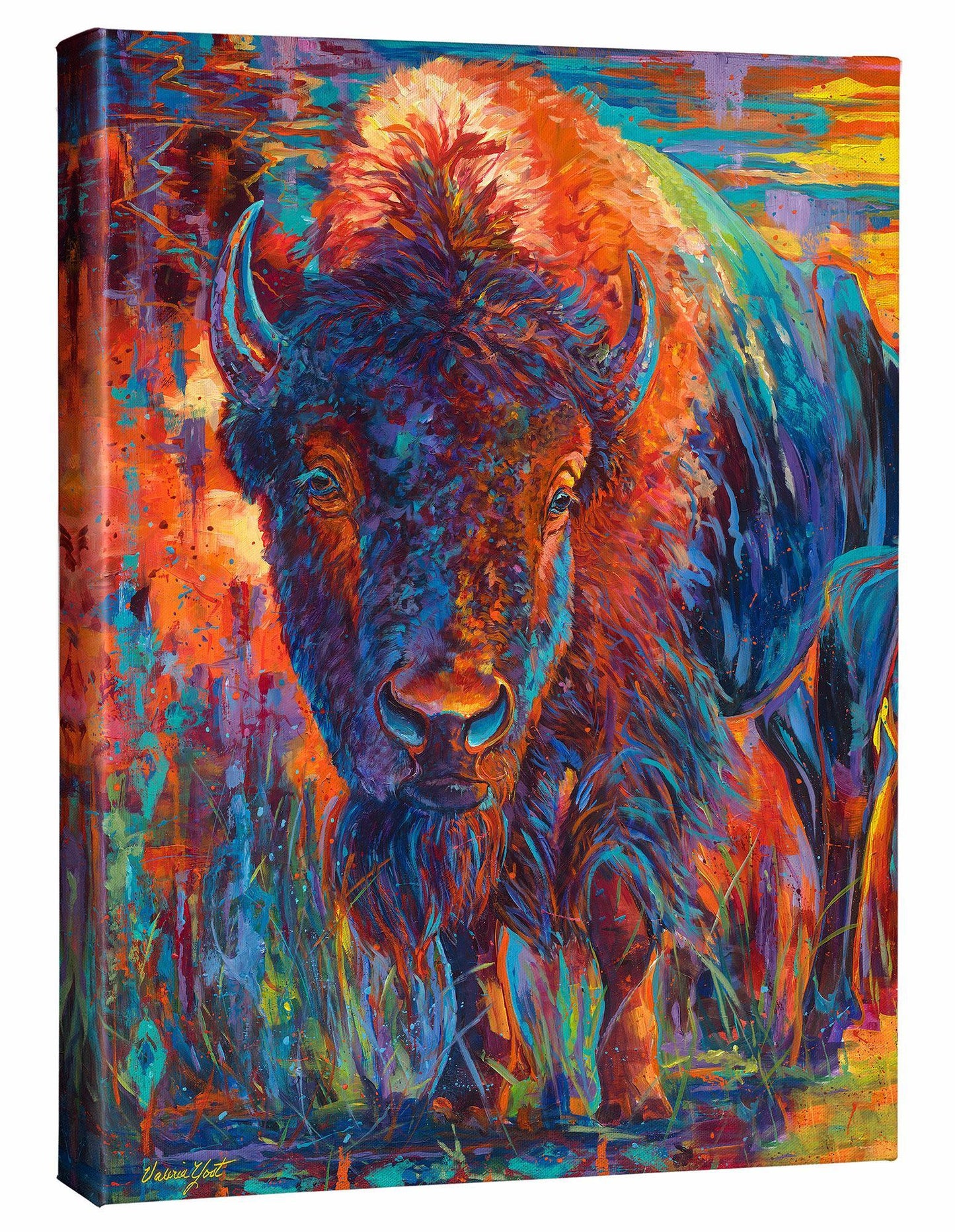 Bison Gallery Wrapped Canvas - Wild Wings