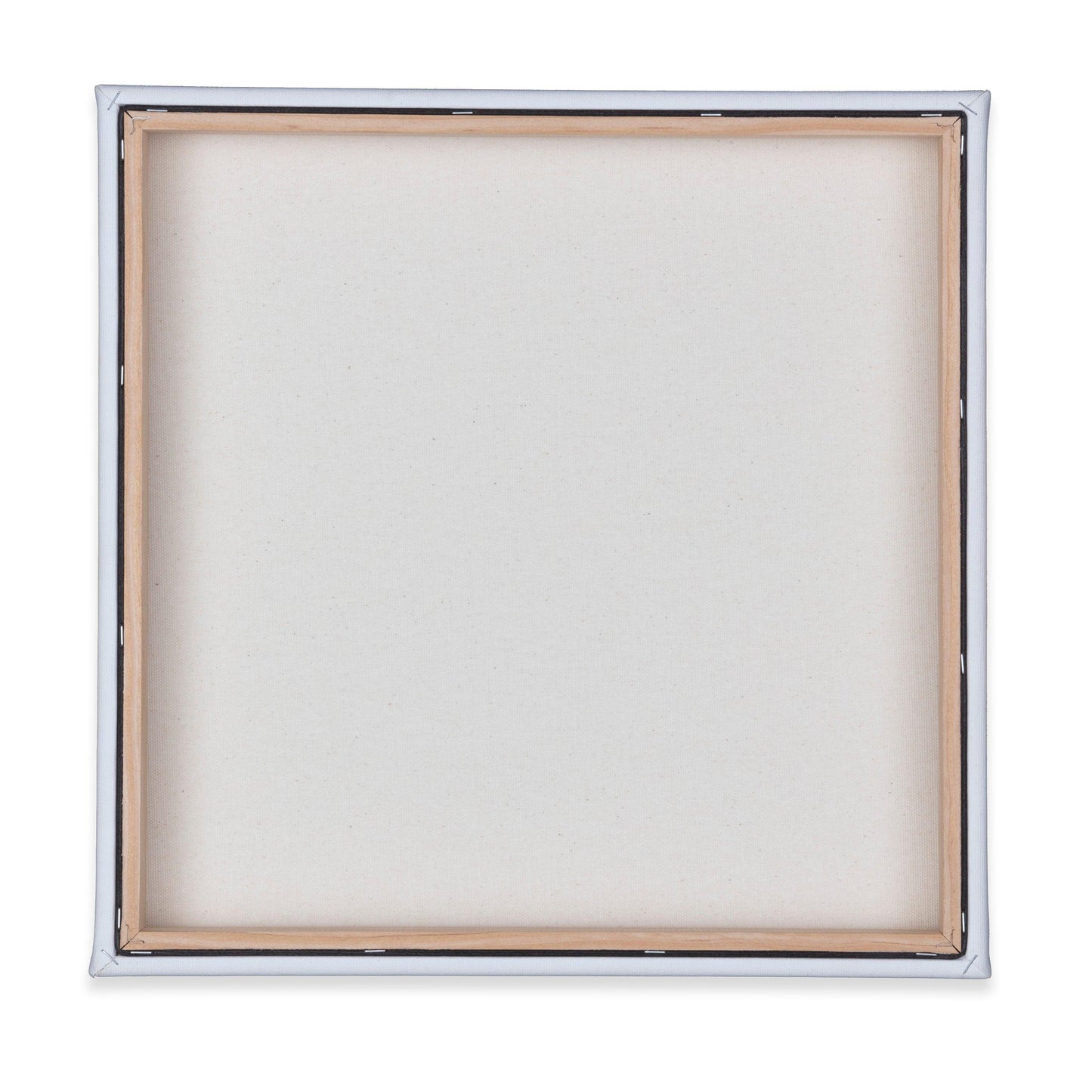 Peter Cottontail Gallery Wrapped Canvas - Wild Wings