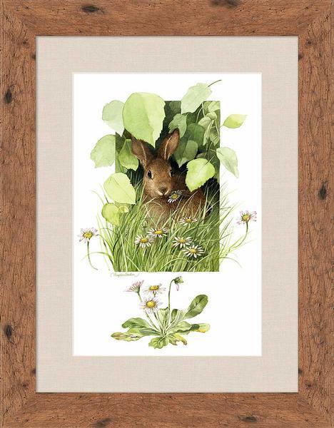 Cloaked in Green Framed Print - Wild Wings