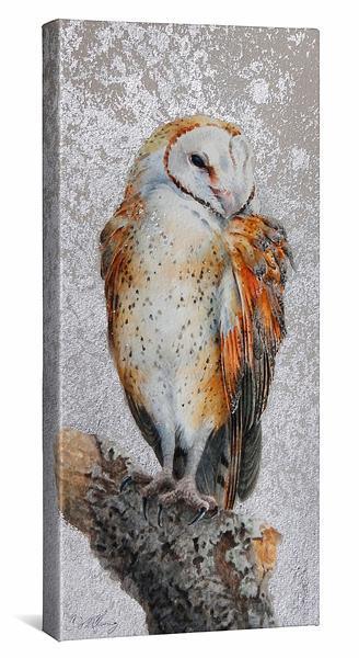 Cupid Gallery Wrapped Canvas - Wild Wings