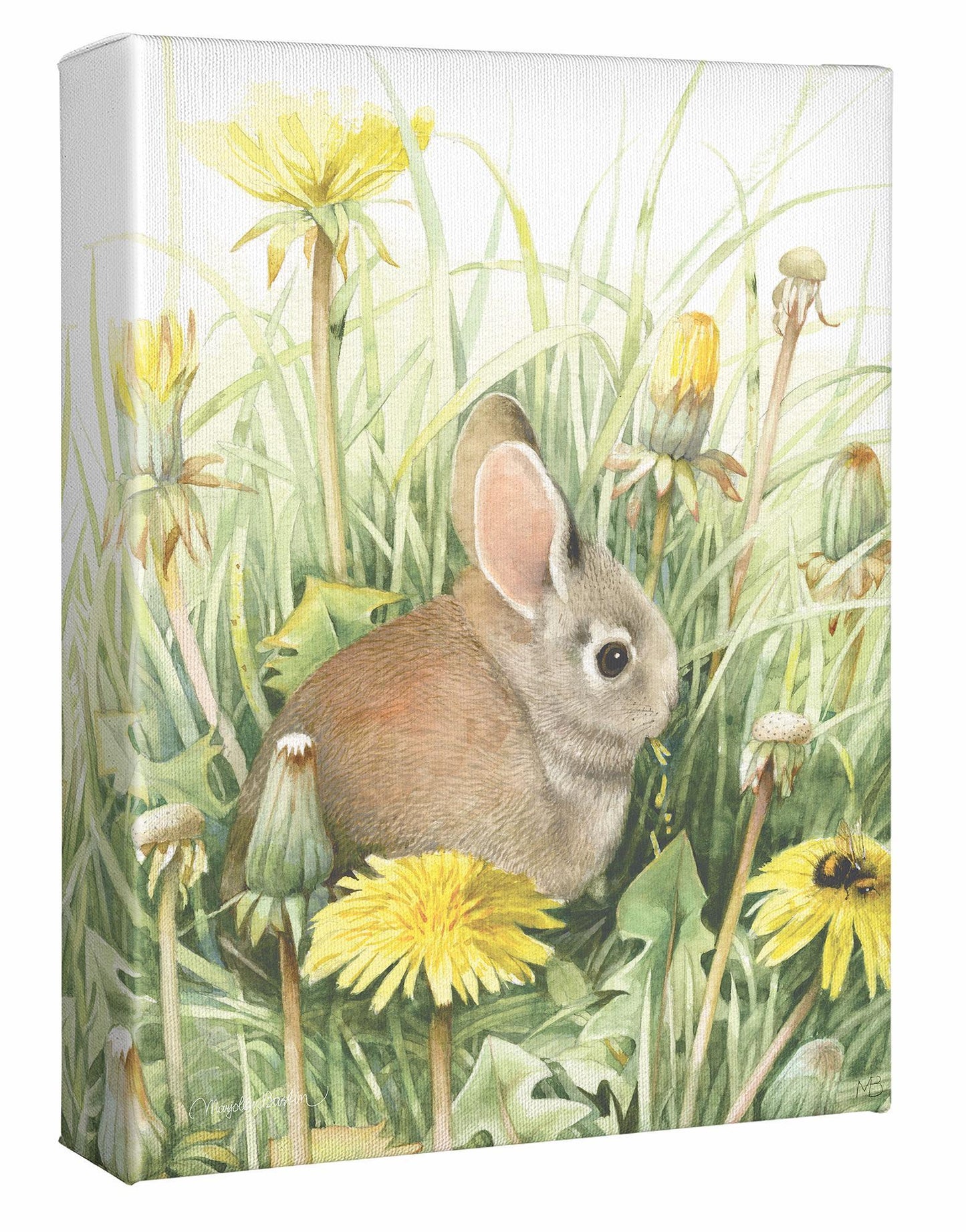 Dandelion Delight Gallery Wrapped Canvas - Wild Wings