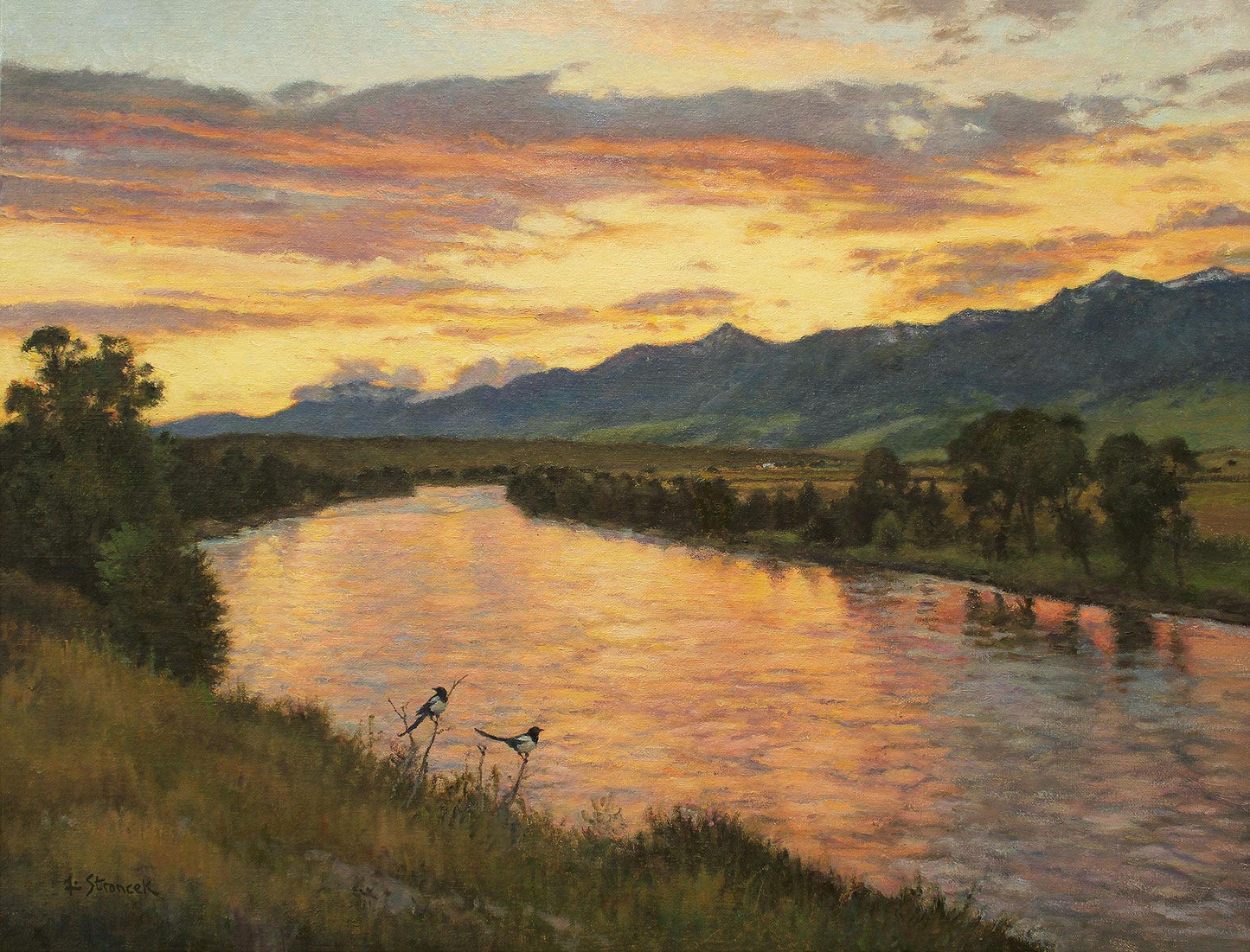 Dawn in the Valley Limited Edition Print - Wild Wings