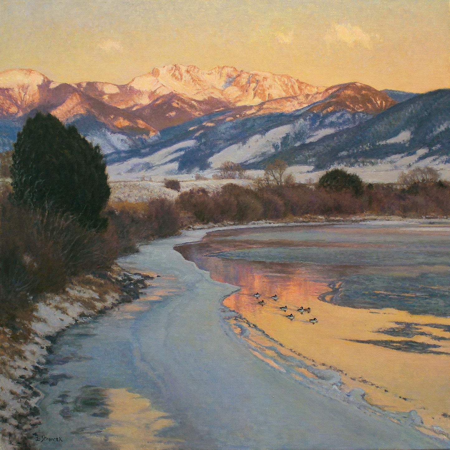 Day's End - Goldeneyes Limited Edition Print - Wild Wings