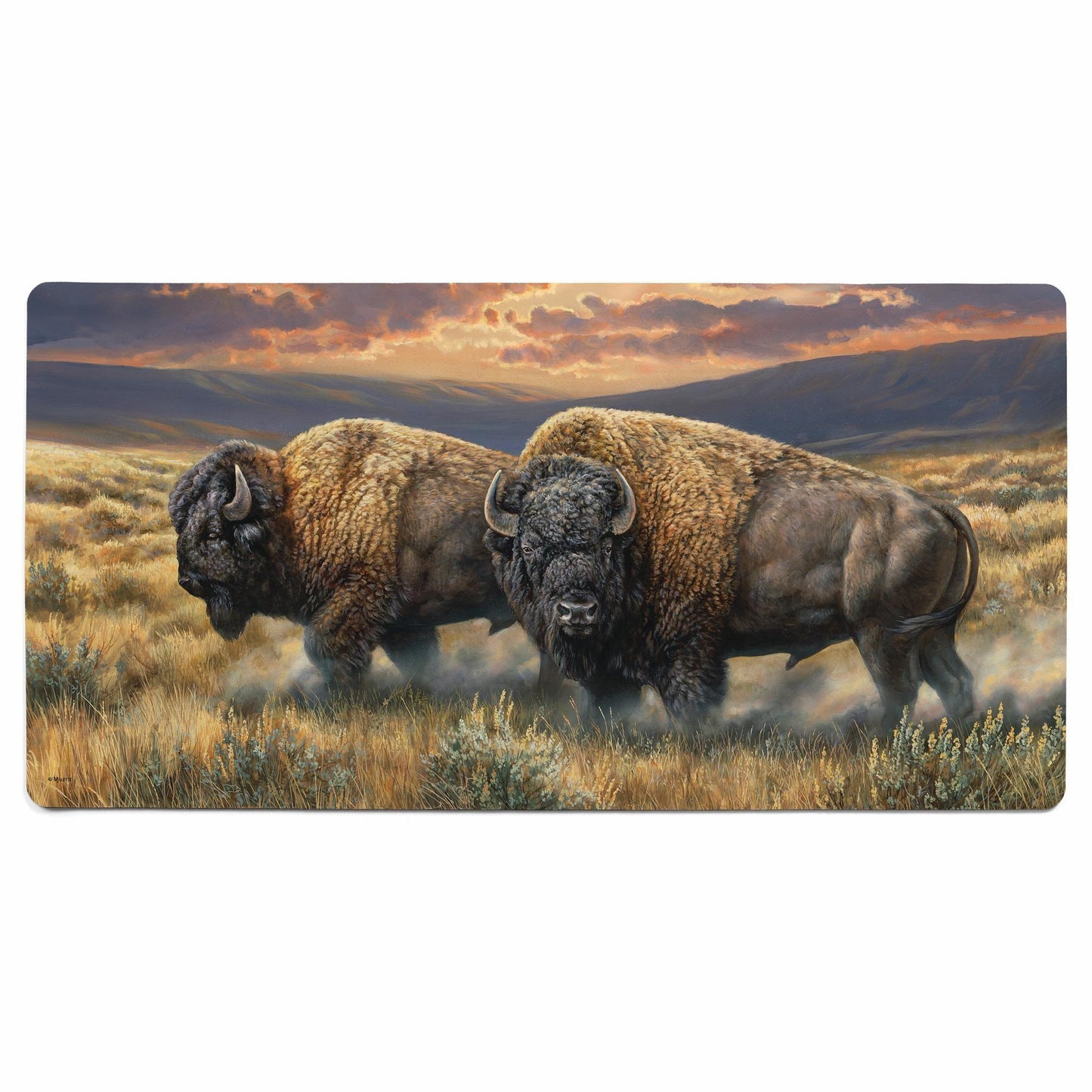 Dusty Plains - Bison Floor Mat - Wild Wings
