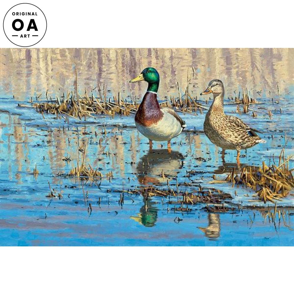 Early Thaw—Mallards Original Oil Painting - Wild Wings