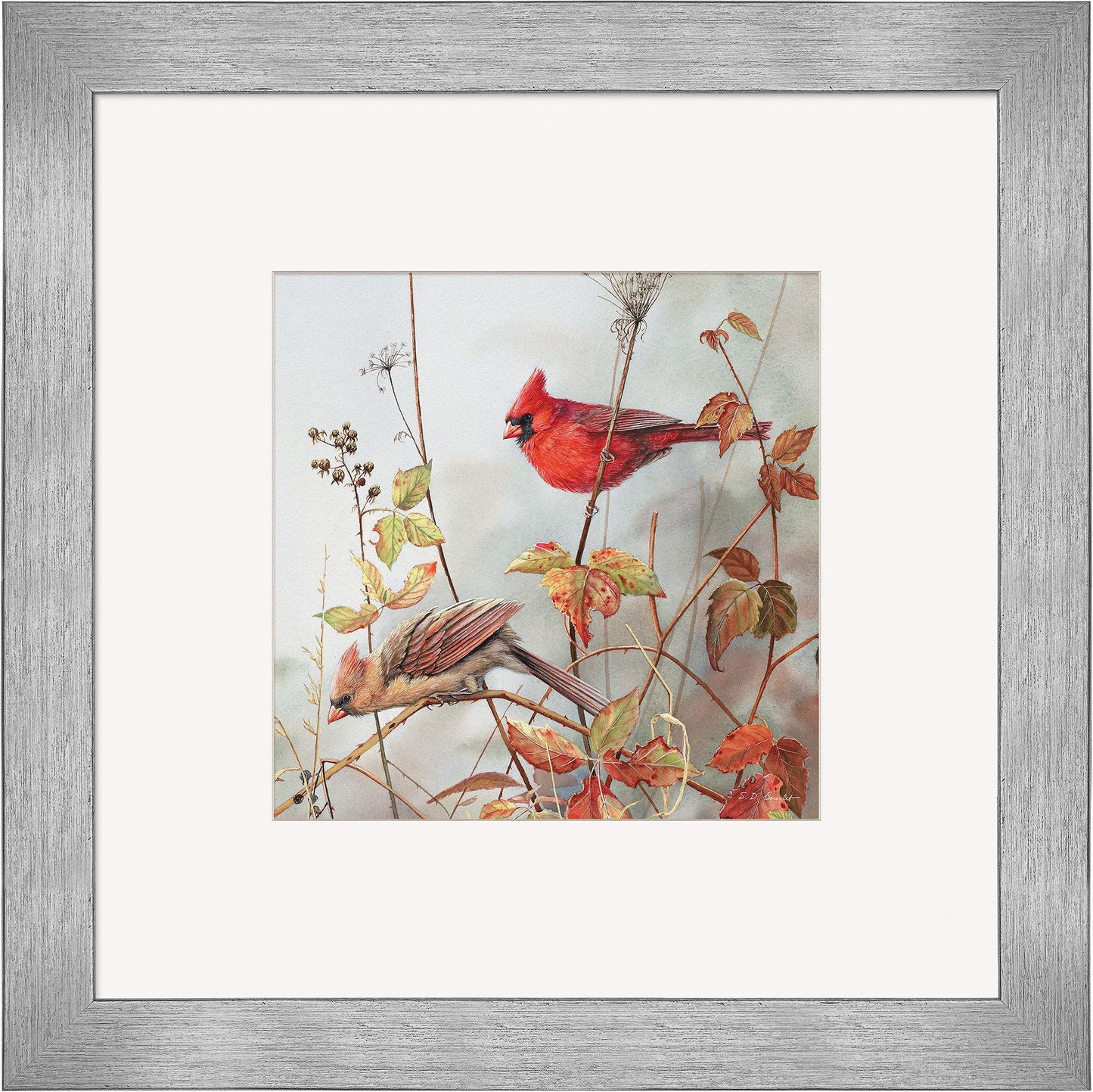 Fall Brilliance—Cardinals Contempo Square - Wild Wings