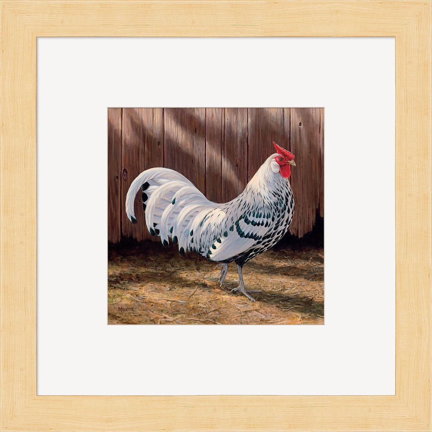 Hamburg Rooster Contempo Square - Wild Wings