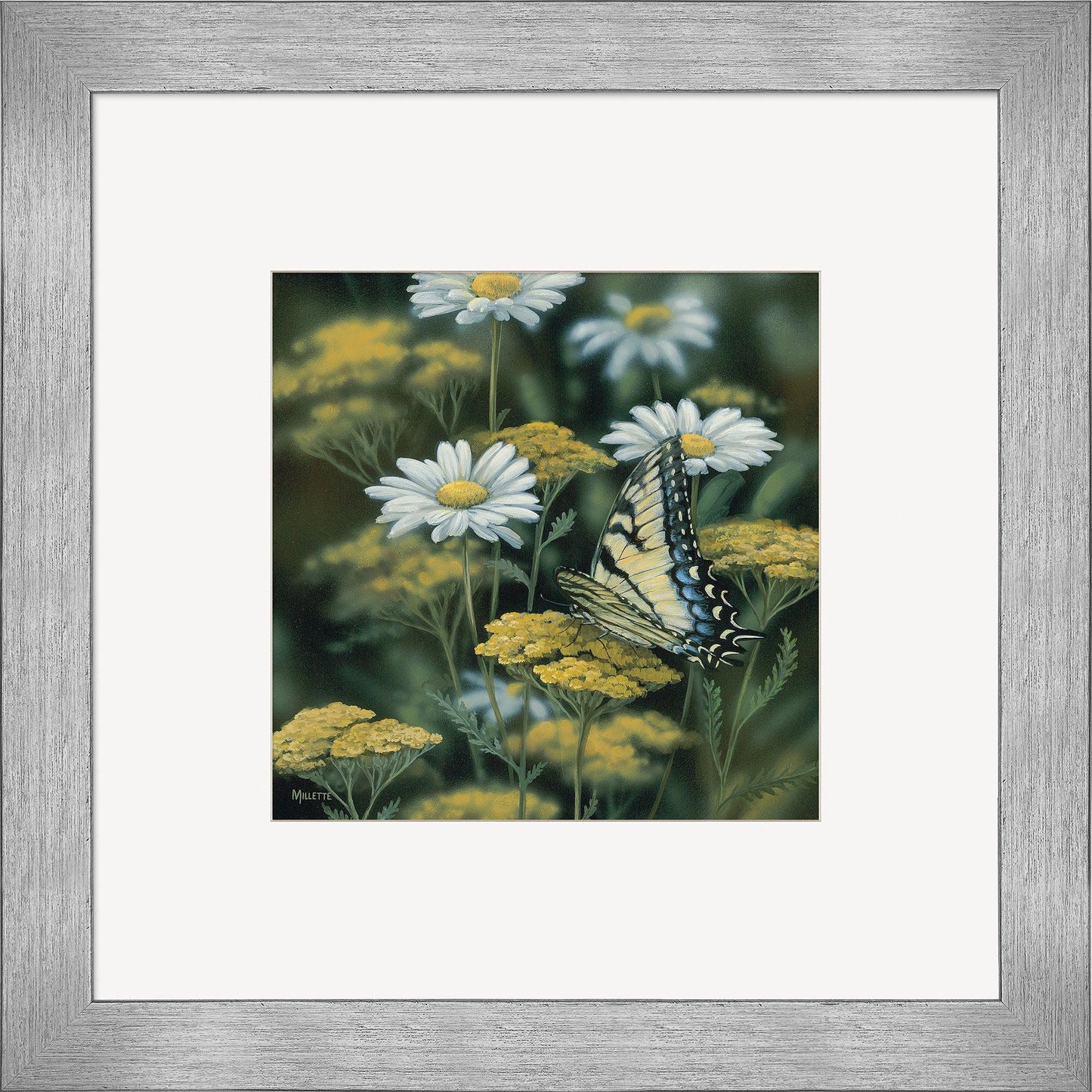 Tiger Swallowtail—Butterfly Contempo Square - Wild Wings