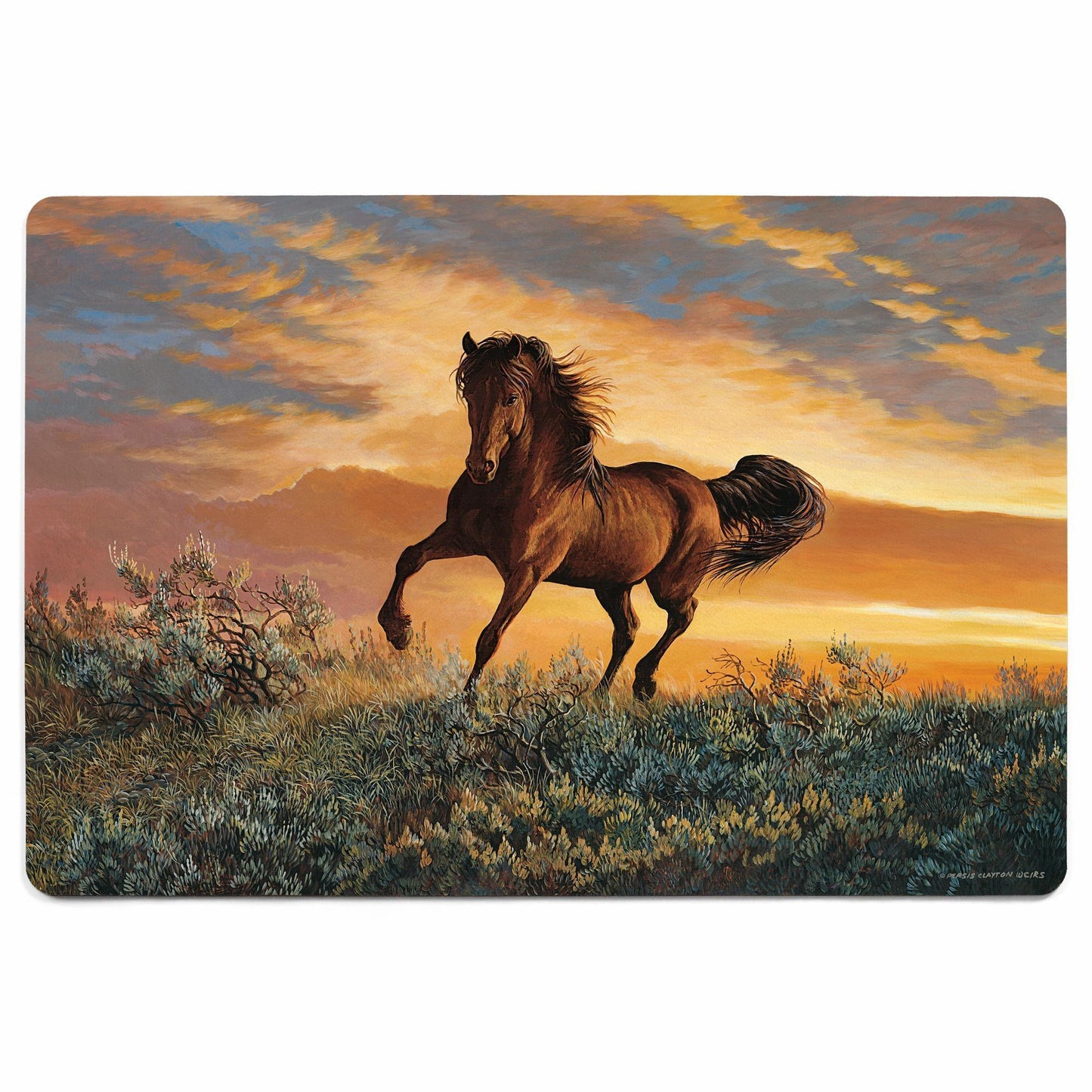 Fire in the Sky Floor Mat - Wild Wings