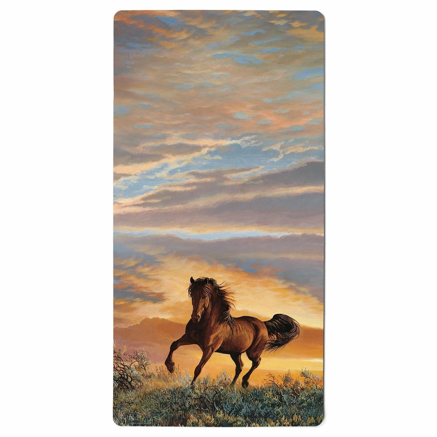Fire in the Sky Floor Mat - Wild Wings