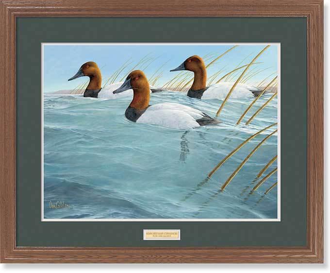 Riding High Again—Canvasbacks GNA Premium Framed Print - Wild Wings