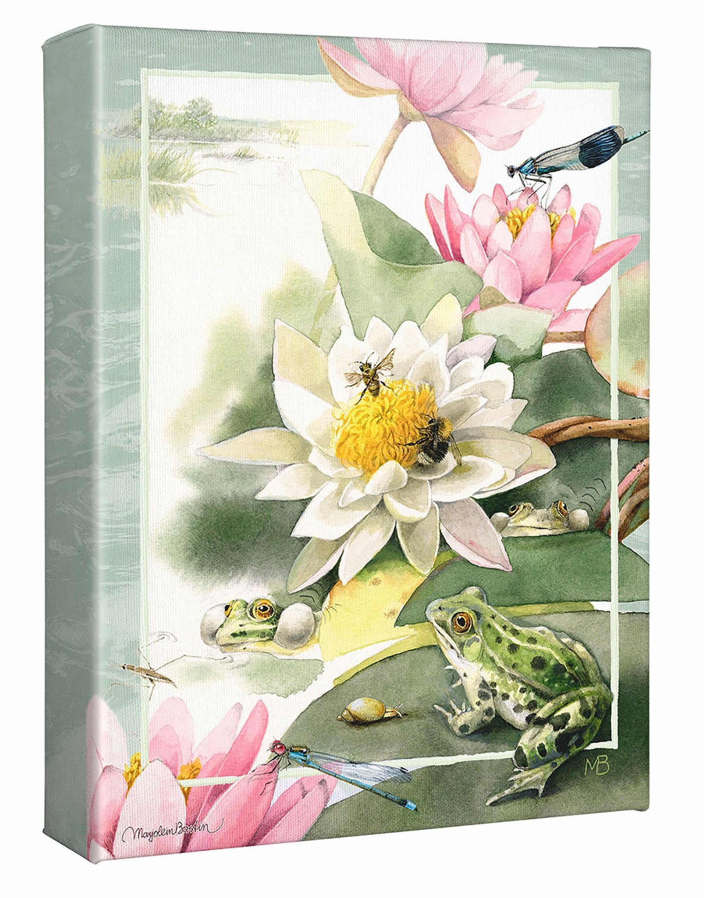 Green Frog Concert Gallery Wrapped Canvas - Wild Wings