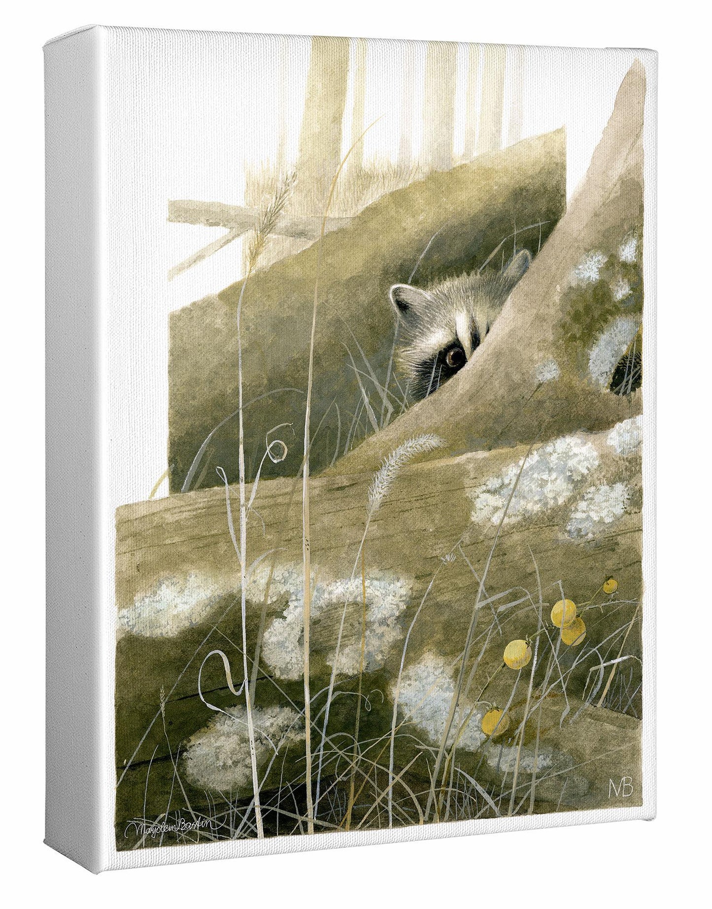 Hide and Seek Gallery Wrapped Canvas - Wild Wings