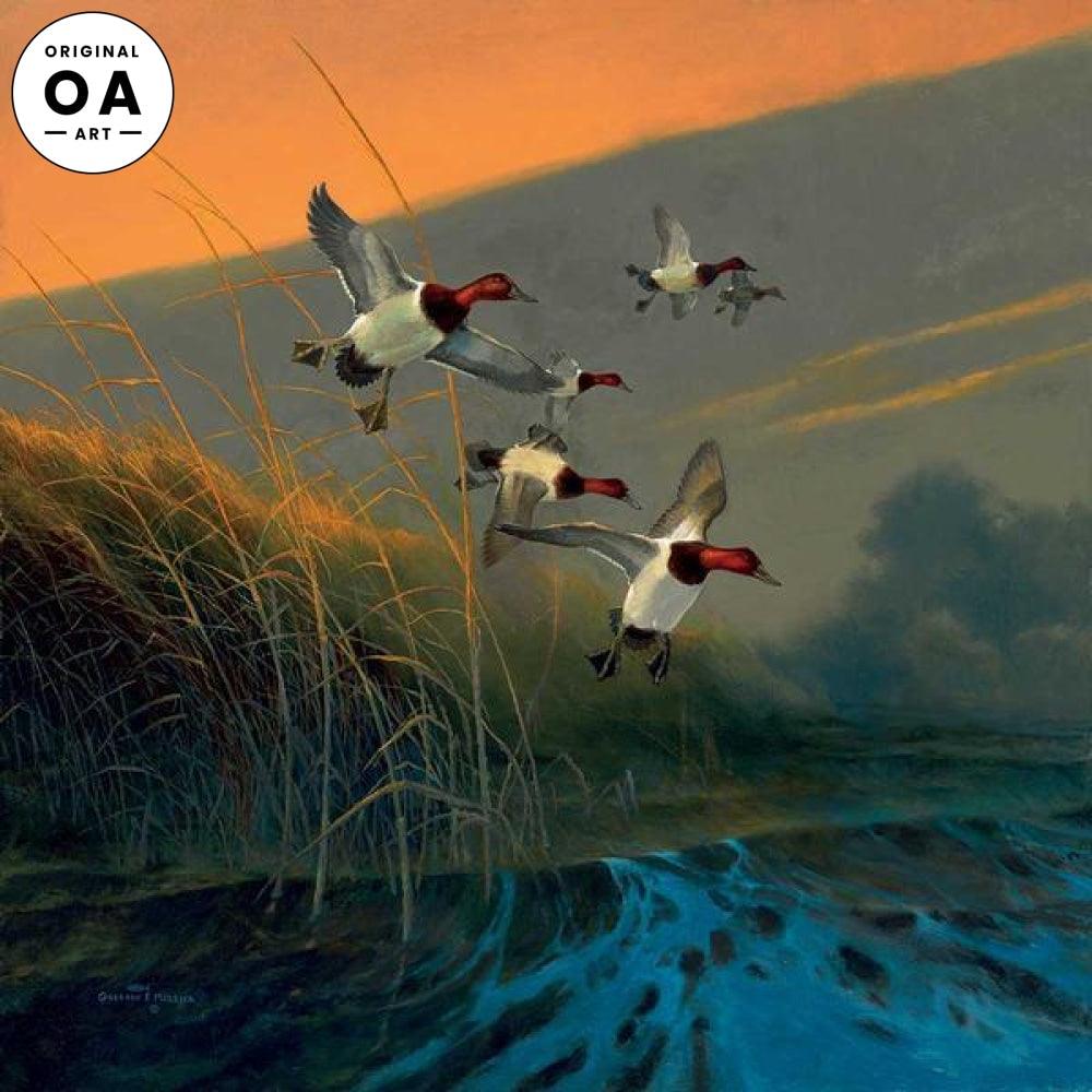 Inspiration Bay—Canvasbacks Original Watercolor Painting - Wild Wings