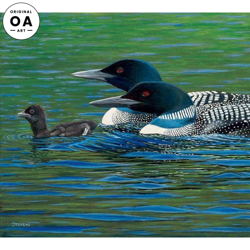 Let's Get Going—Loons Original Oil Painting - Wild Wings