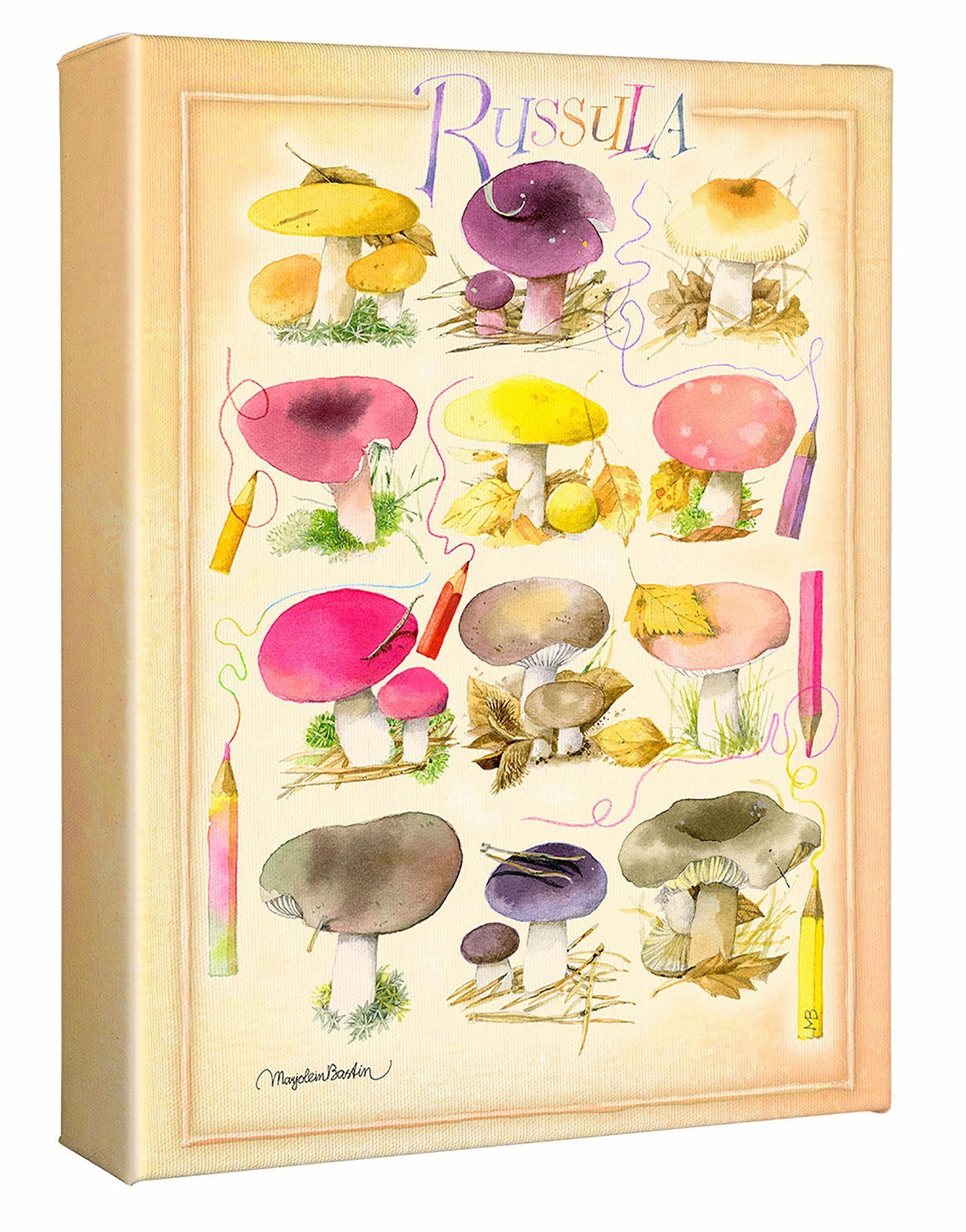 Mushrooms for the Coloring Book Gallery Wrapped Canvas - Wild Wings