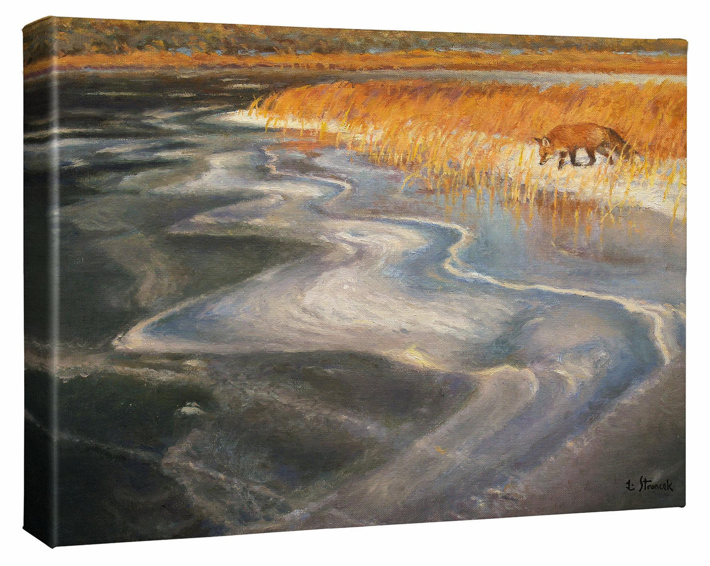 New Ice-Fox Gallery Wrapped Canvas - Wild Wings