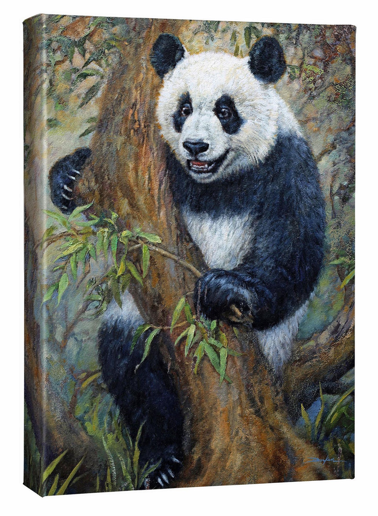 Peek-a-Boo—Panda Gallery Wrapped Canvas - Wild Wings
