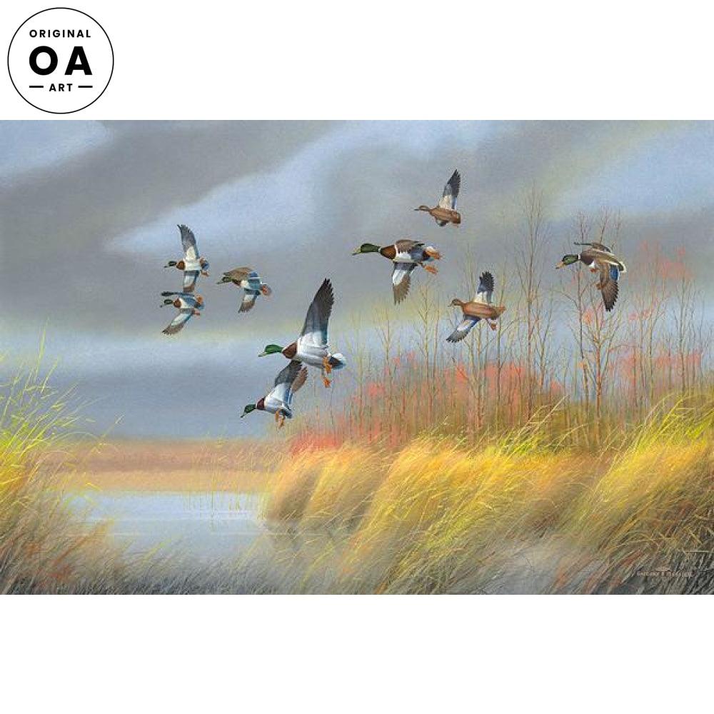 Returning Home—Mallards Original Watercolor Painting - Wild Wings