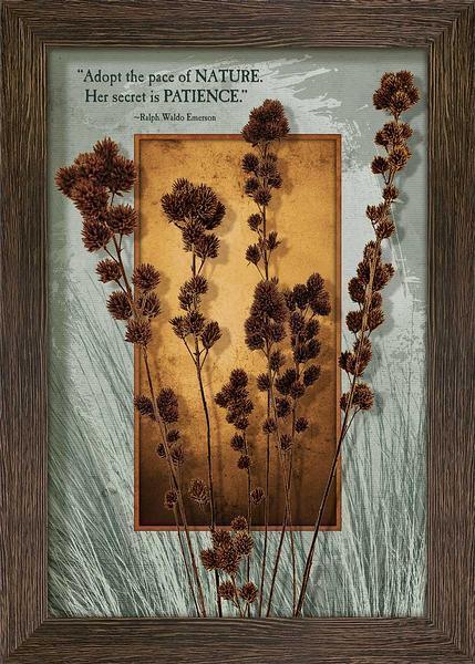 Roadside Beauty—Burdock Multimedia Wall Art - Wild Wings