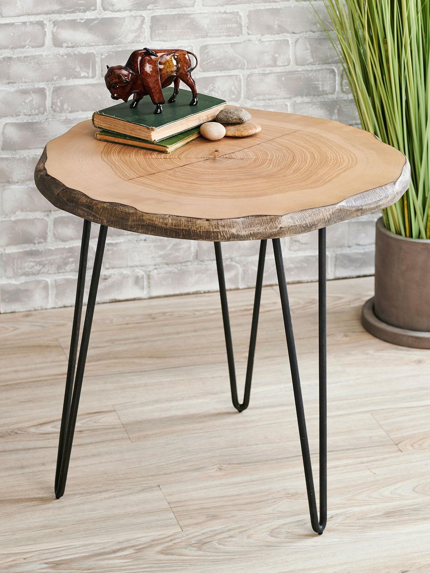 Tree Ring Side Table - Wild Wings