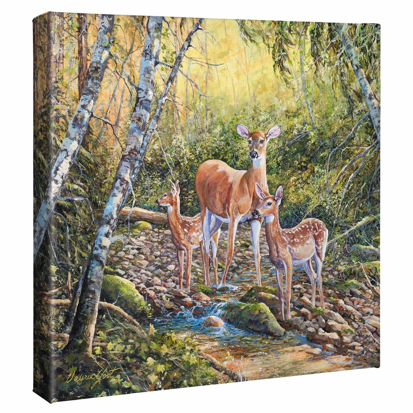 Serenity Gallery Wrapped Canvas - Wild Wings