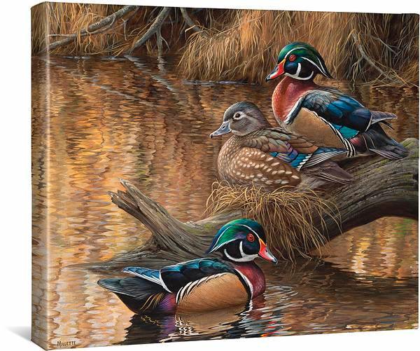 Sitting Pretty Gallery Wrapped Canvas - Wild Wings