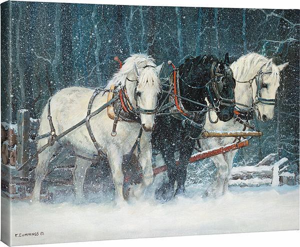 Snowfall Gallery Wrapped Canvas - Wild Wings