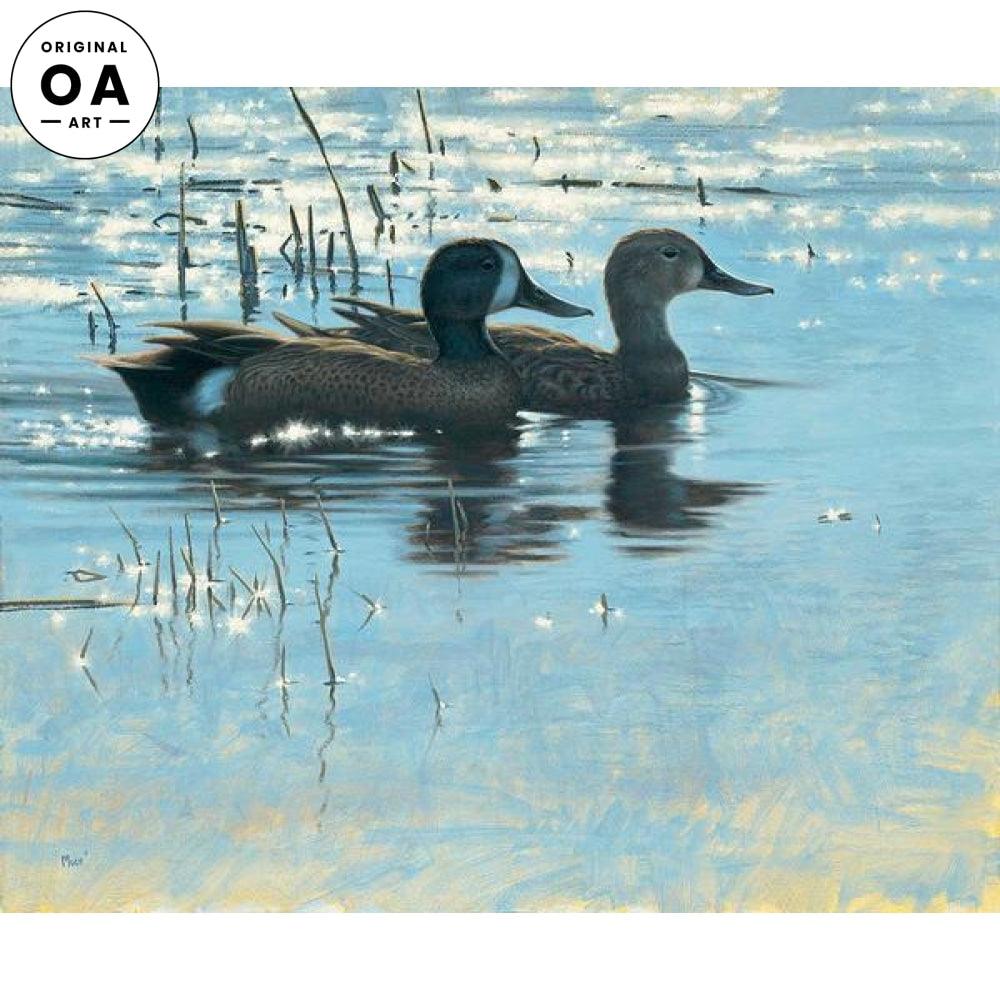 Spring Shallows—Blue—wing Teal Original Oil Painting - Wild Wings