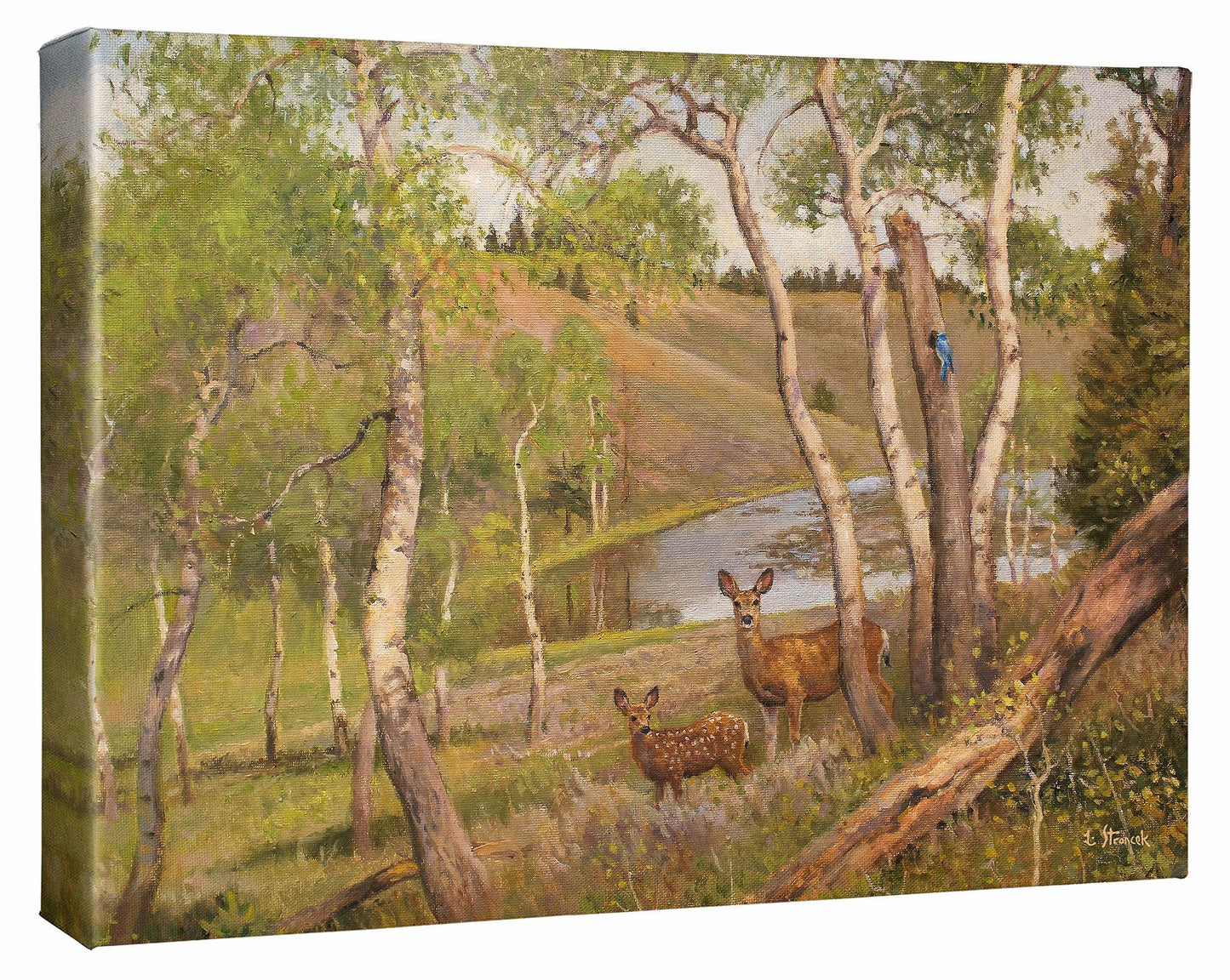 The Bluebird Grove Gallery Wrapped Canvas - Wild Wings