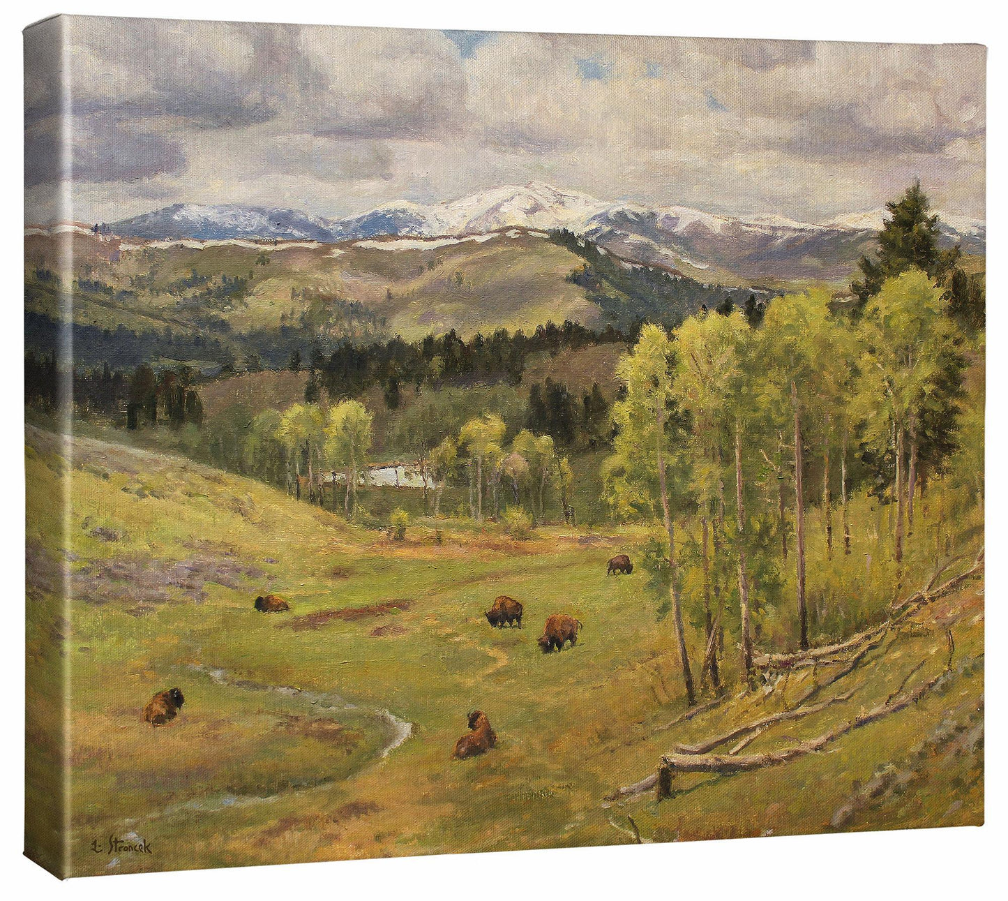 View From The Grizzly Meadows Gallery Wrapped Canvas - Wild Wings