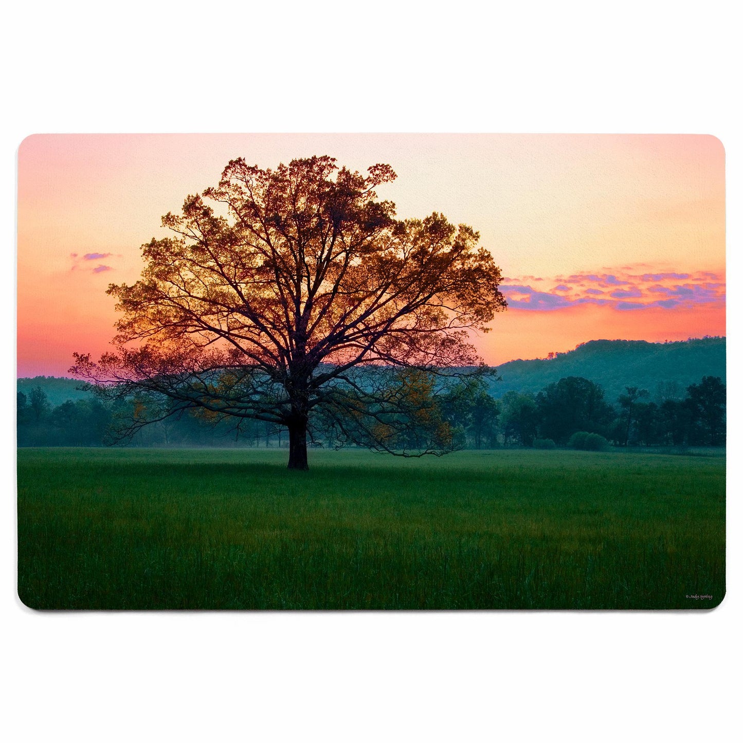 Twilight Tree Floor Mat - Wild Wings