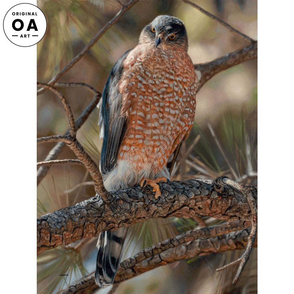 Woodland Sniper—Cooper's Hawk Original Oil Painting - Wild Wings