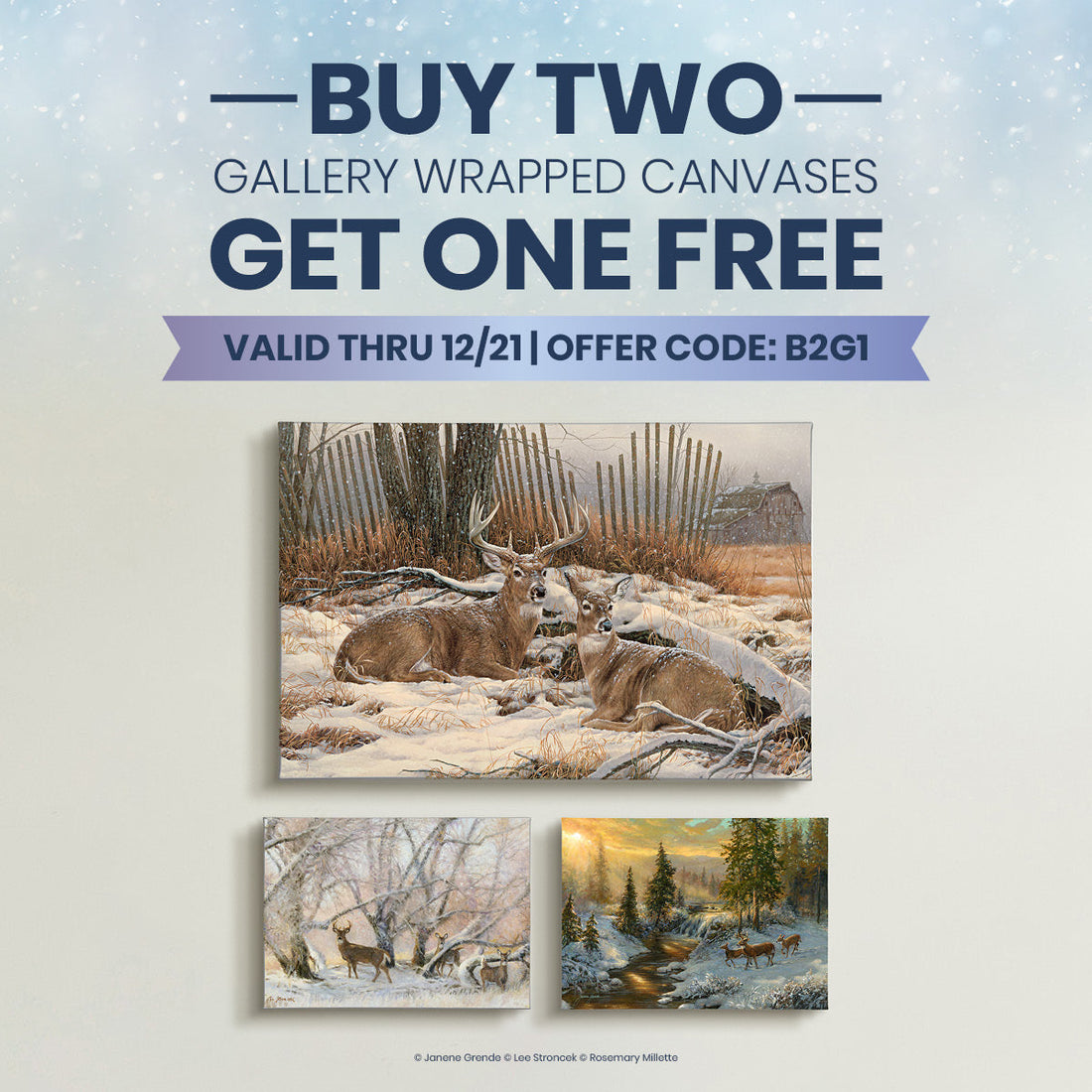Buy 2, Get 1 Free Gallery Wrap Canvas Holiday Sale