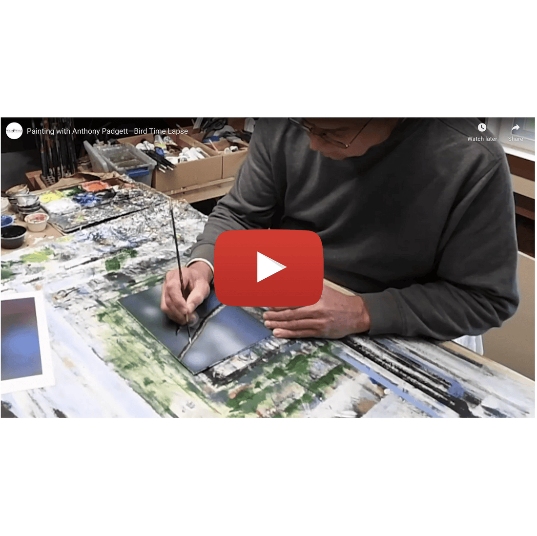 Painting a Bird with Anthony Padgett (Time Lapse Video) - Wild Wings