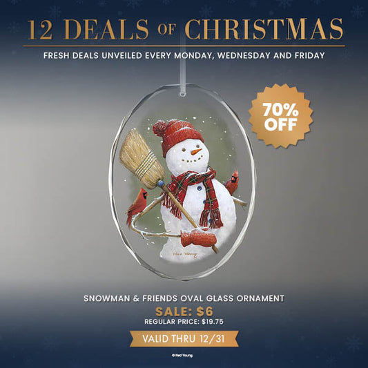 12 Deals of Christmas