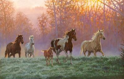 Wildlife Art Styles - Wild Wings