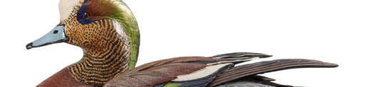 A Beginner's Guide to Collecting Duck Decoys