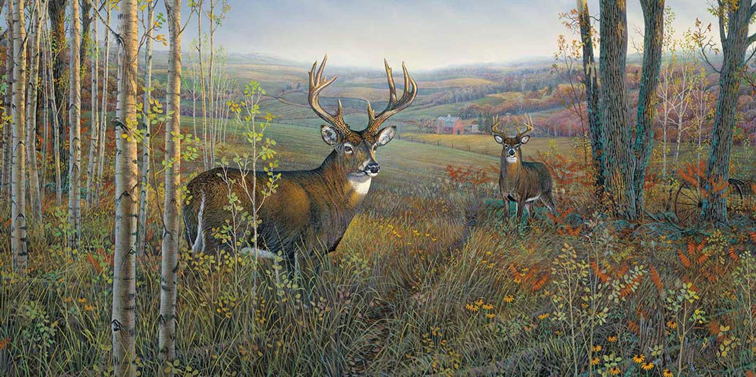 Commitment to Conservation