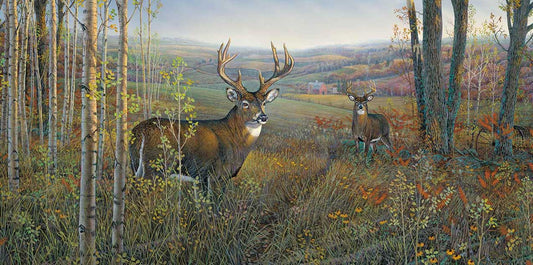 Commitment to Conservation