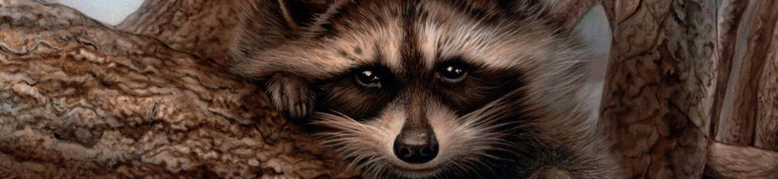 Gift Ideas for Nature Lovers