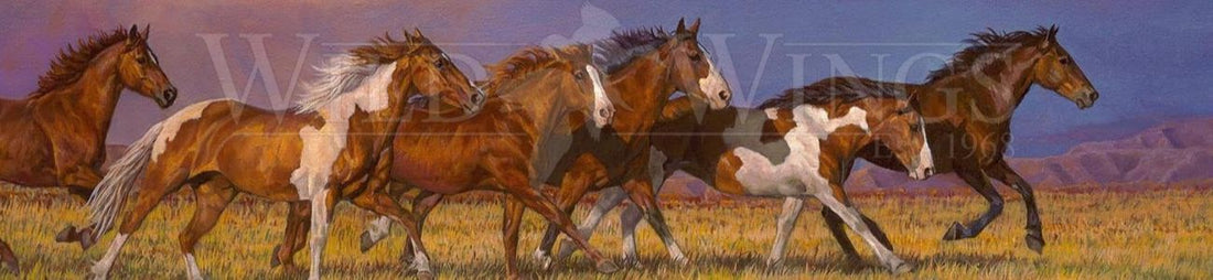 Unbroken Horses by Chris Cummings