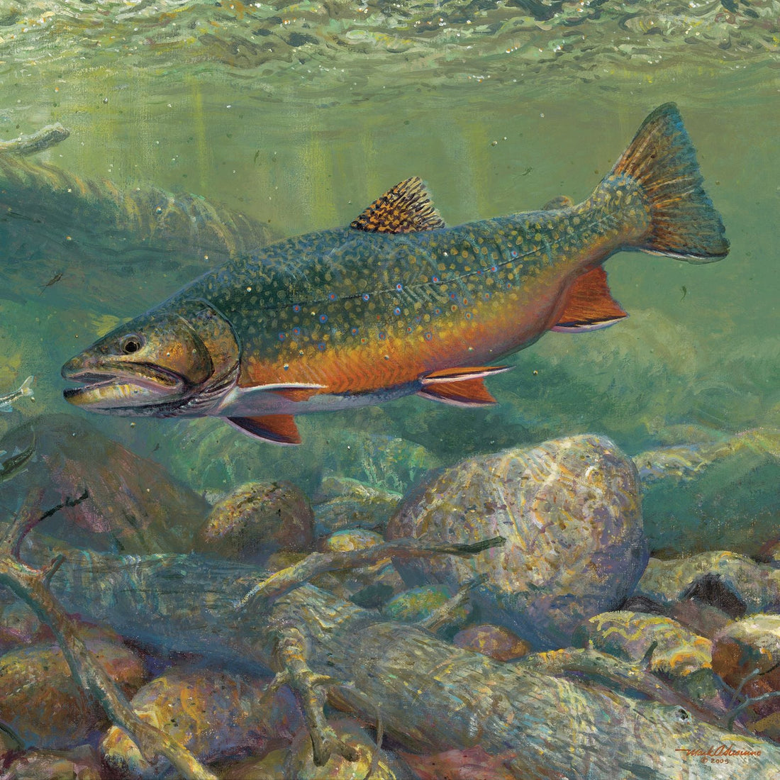 Fish paintings from Wild Wings. 