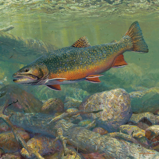 Fish paintings from Wild Wings. 