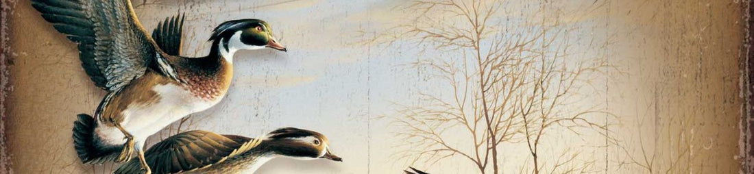 Top Cabin Decor Ideas for Every Style